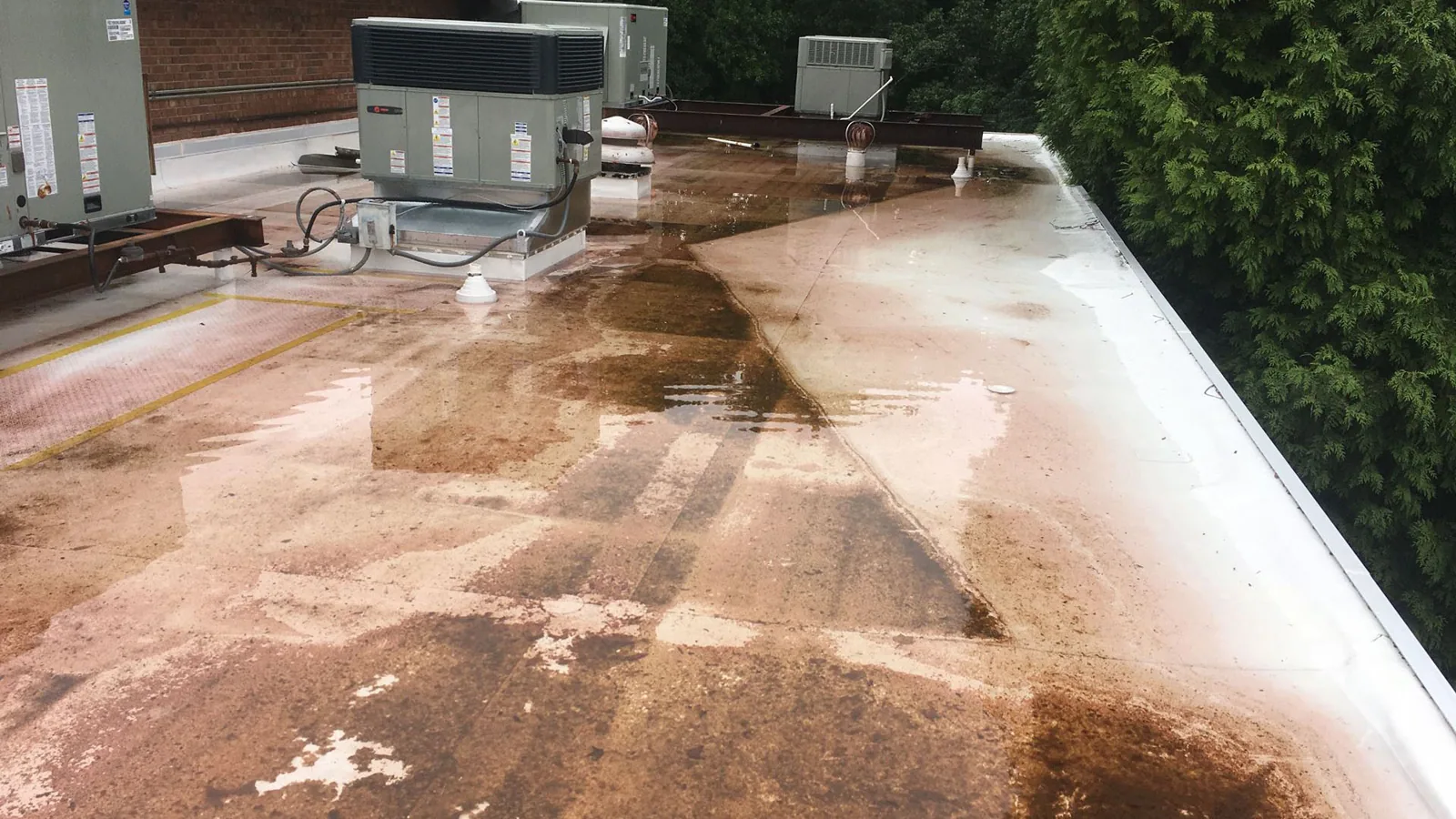 Commercial Ponding Water Roof Repair in Concord, NC